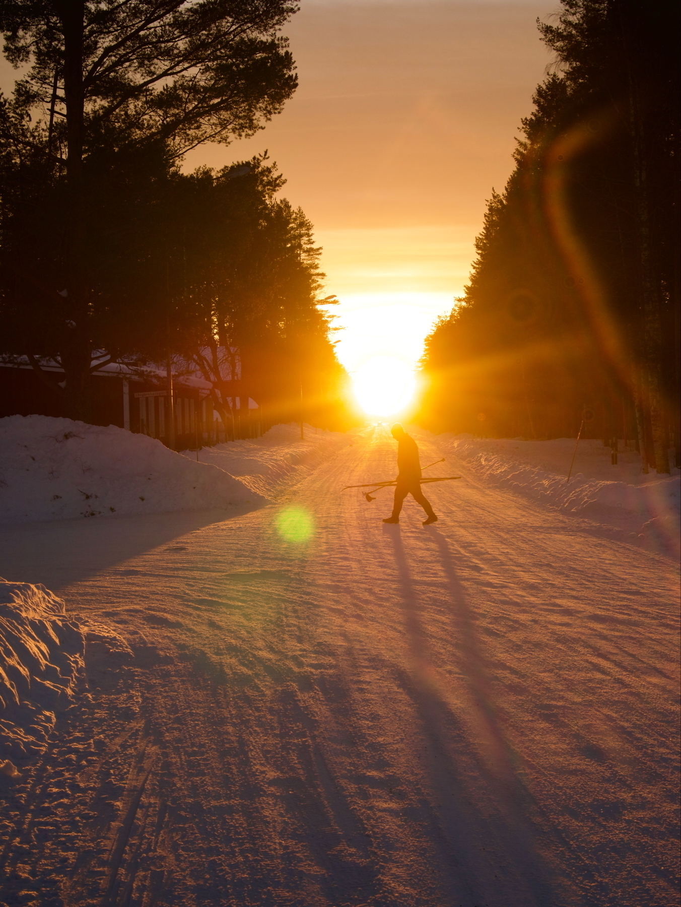 A silhouette of a person walking on a snowy path with a sunset in the background. The scene is framed by trees, and the warm glow of the sun creates long shadows on the snow-covered ground.