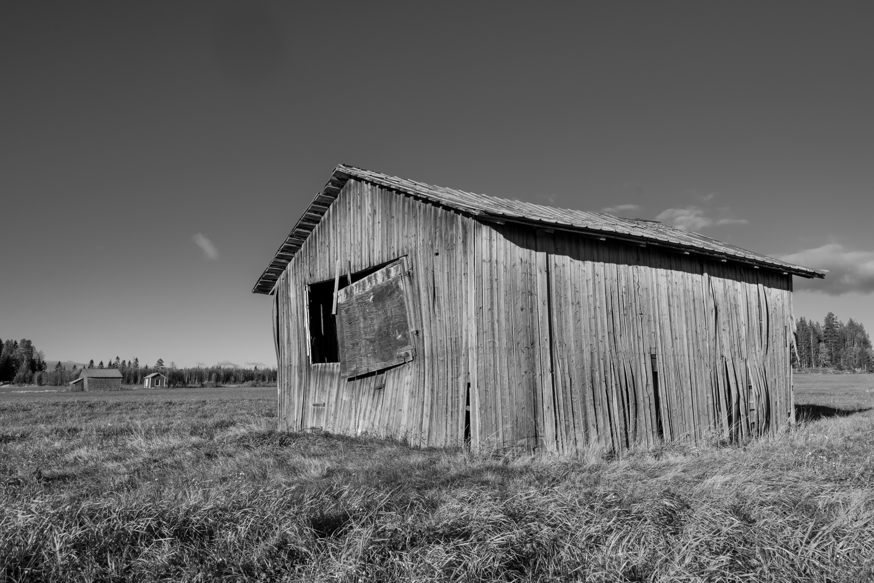 A black and white photograph of a weathered, abandoned wooden shed in a grassy field. Two other similar buildings can be seen in the distant background, with a clear sky overhead.