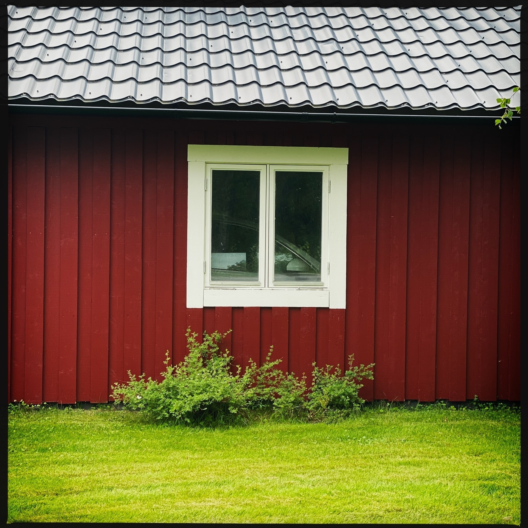 A red wooden building with vertical panels, a single white-framed window, and a grey metal roof. Green shrubs are below the window, and a well-maintained grass lawn is in the foreground.