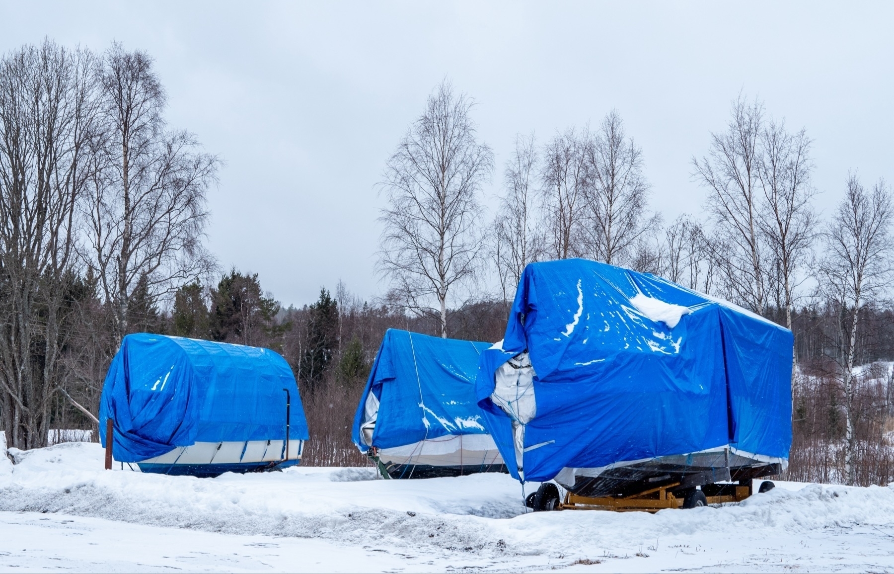 Boats covered with blue tarps on a snowy landscape with bare trees in the background.