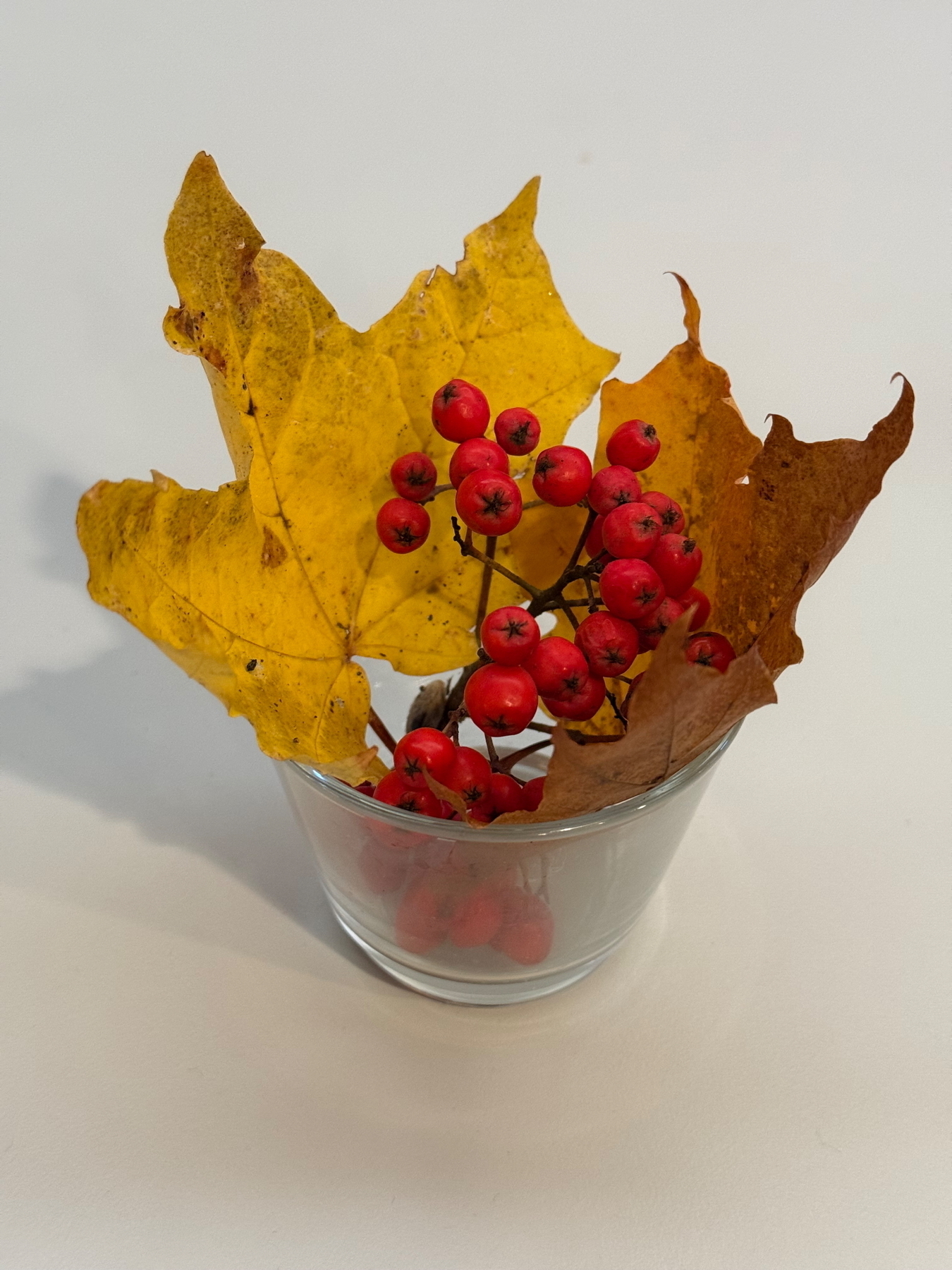 A glass cup containing red berries and autumn leaves in shades of yellow and brown.