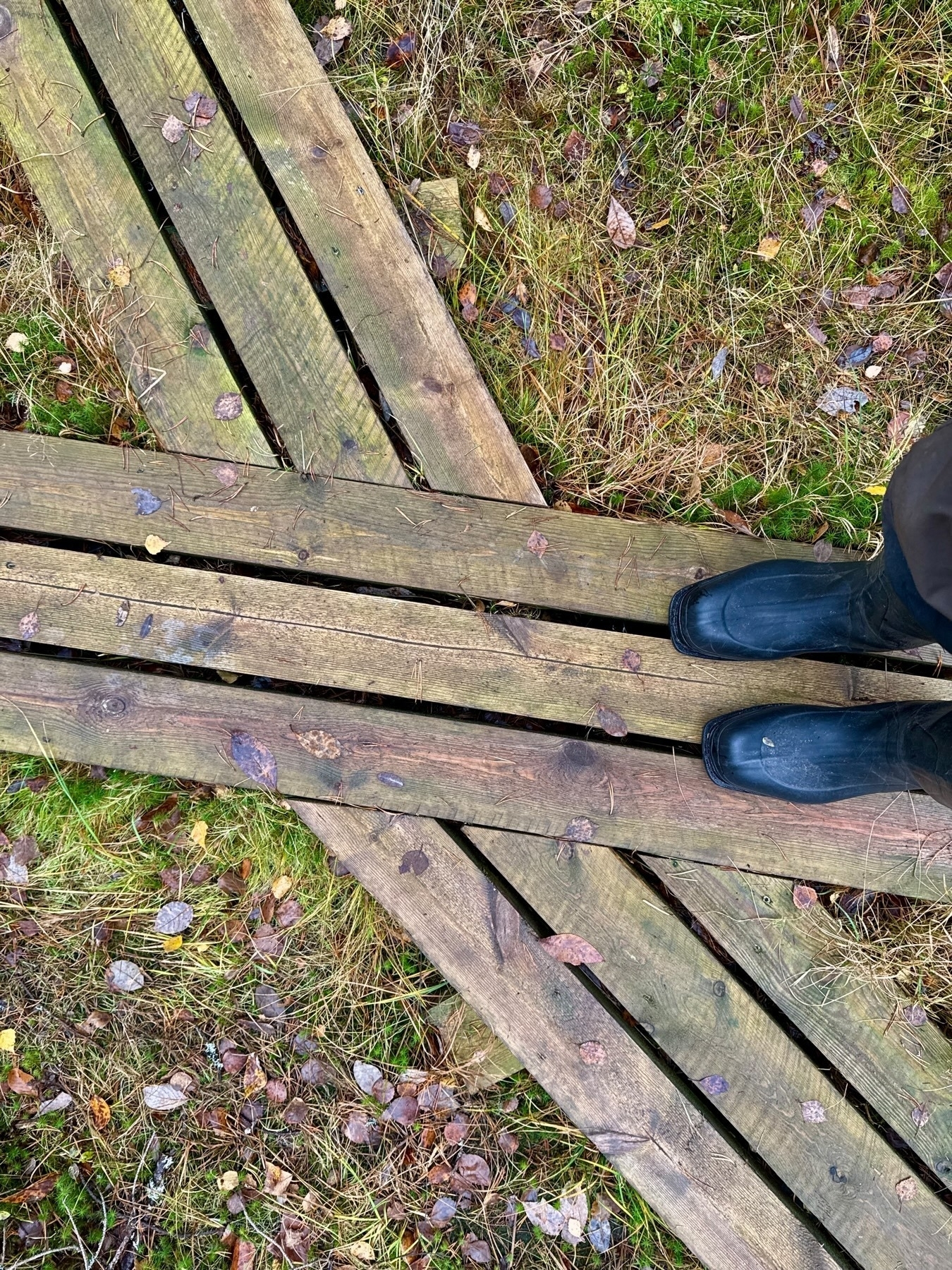 A pair of black boots stands on a wooden boardwalk in a grassy area. The ground is covered with fallen leaves, and the wooden planks form a converging pattern.