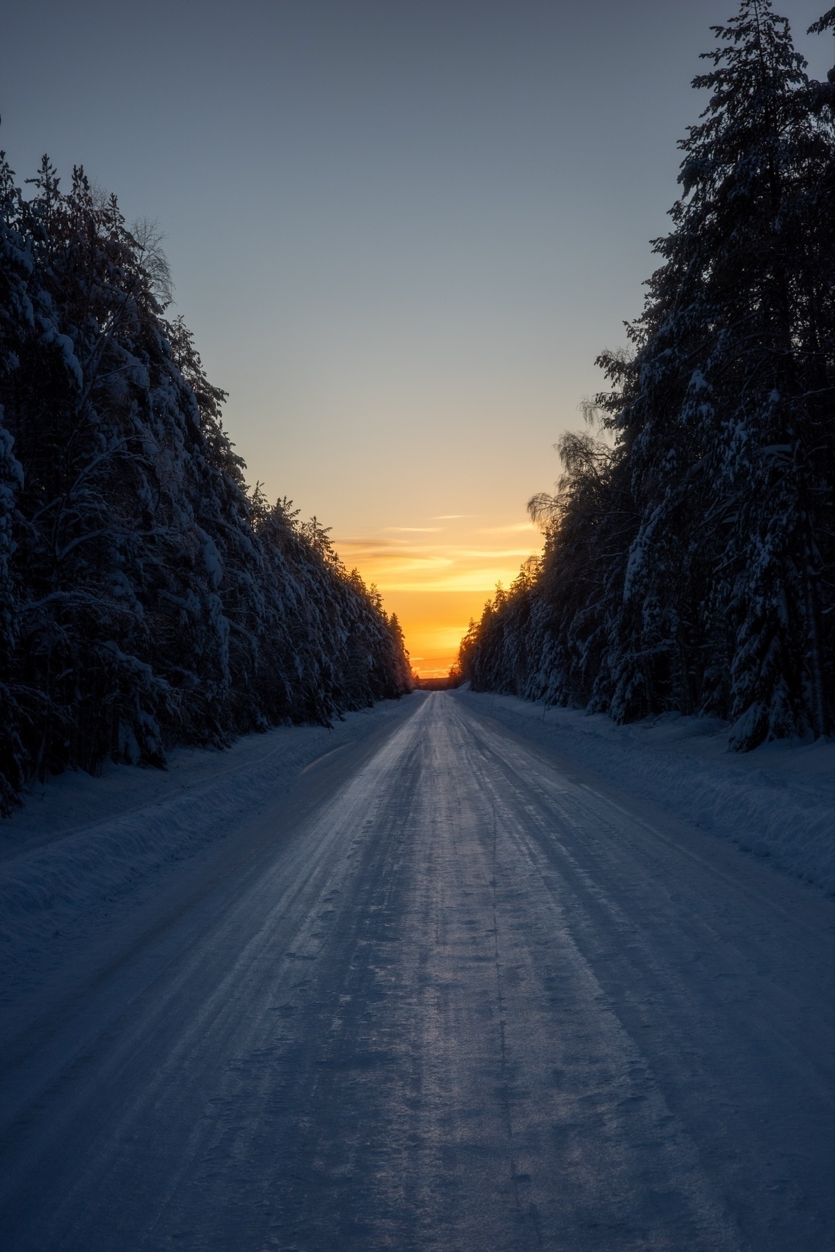 A snow-covered road flanked by tall, snowy trees leads into a vibrant sunset, casting a warm glow in the sky.