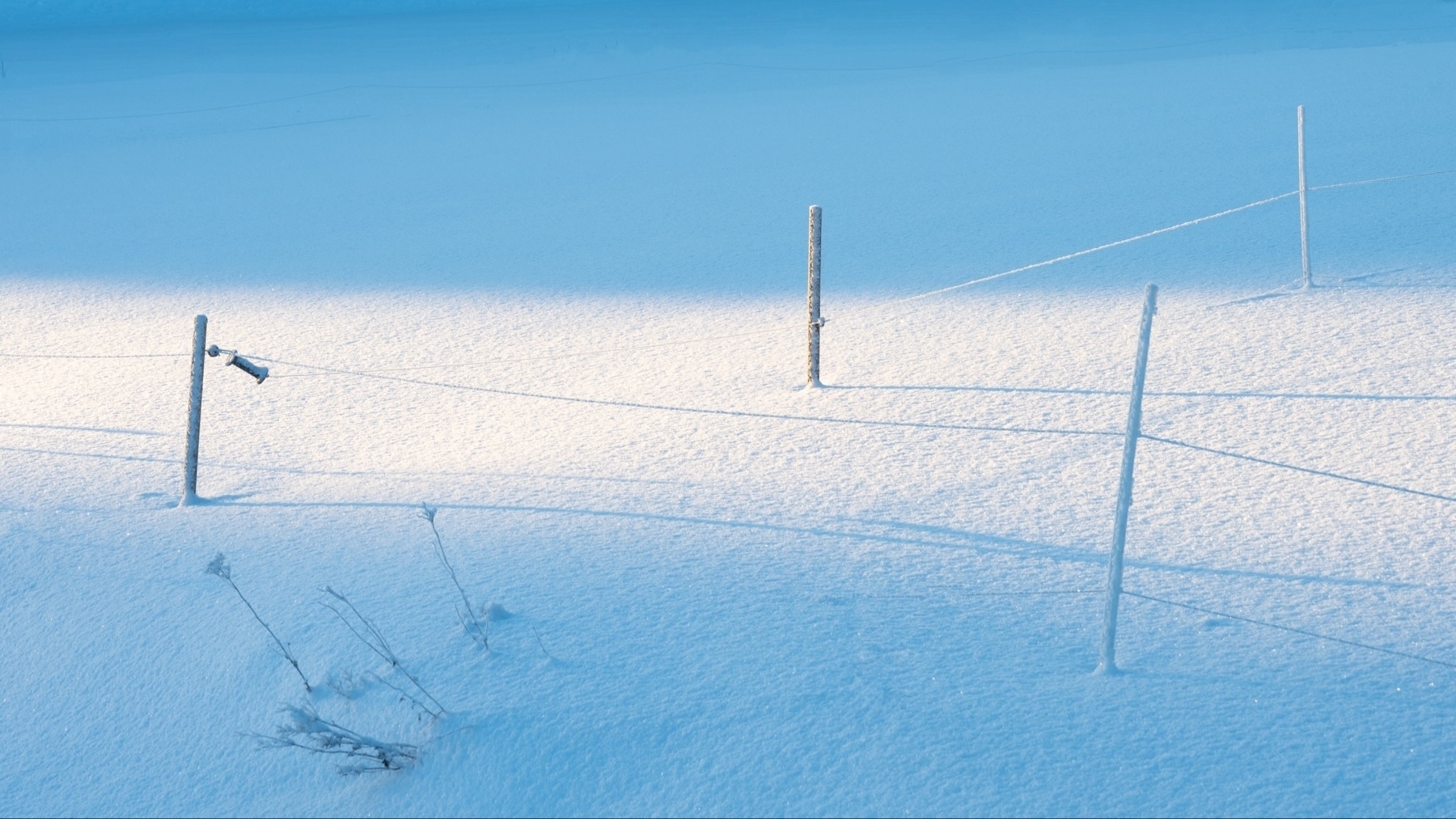 A tranquil snowy landscape with fence posts casting shadows on the undisturbed snow, illuminated by soft sunlight.