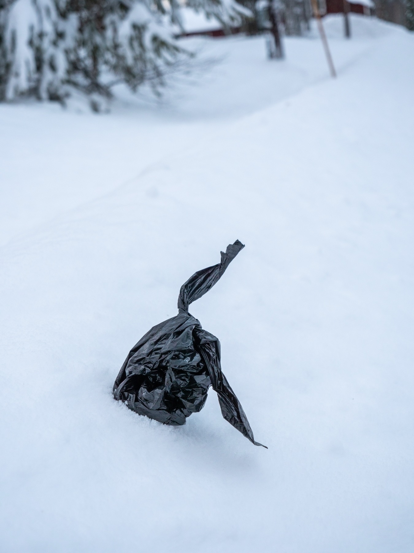 A small black plastic bag partially buried in snow, with a snowy landscape in the background.